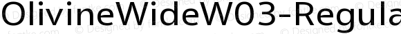 OlivineWideW03-Regular Regular