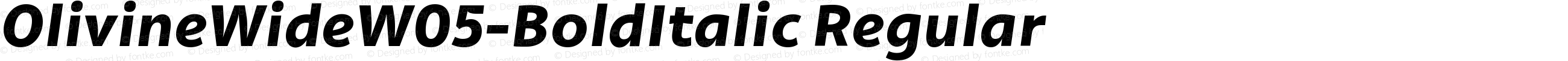 Olivine Wide W05 Bold Italic