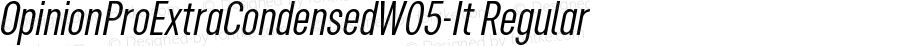 OpinionProExtraCondensedW05-It Regular