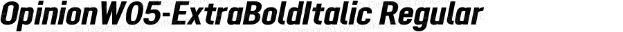 OpinionW05-ExtraBoldItalic Regular