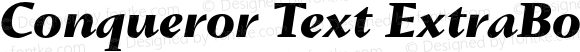 Conqueror Text ExtraBold ExtraBold Italic