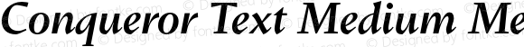 Conqueror Text Medium Medium Italic