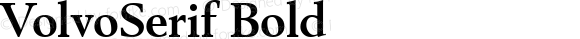 Volvo Serif Bold