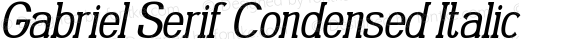 Gabriel Serif Condensed Italic