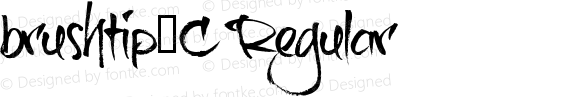 brushtip-C Regular Macromedia Fontographer 4.1 20-10-2010