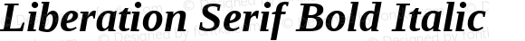 Liberation Serif Bold Italic