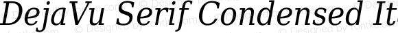 DejaVu Serif Condensed Italic