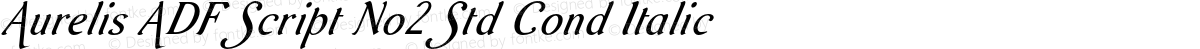 Aurelis ADF Script No2 Std Cond Italic
