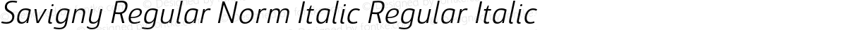 Savigny Regular Norm Italic Regular Italic