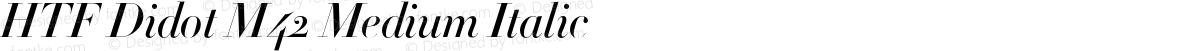 HTF Didot M42 Medium Italic