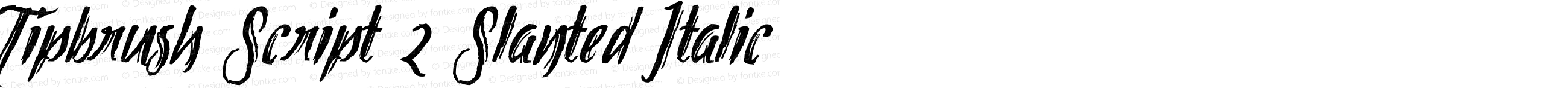 Tipbrush Script 2 Slanted Italic