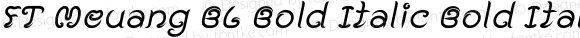 FT Meuang BL Bold Italic Bold Italic