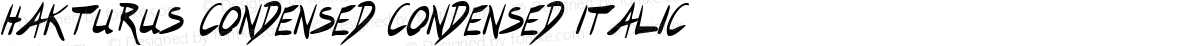 Hakturus Condensed Condensed Italic