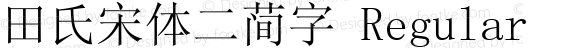 田氏宋体二简字 Regular