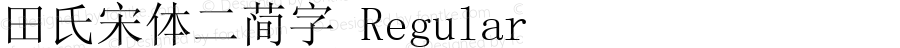 田氏宋体二简字