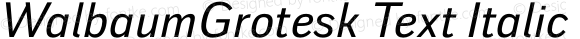 WalbaumGrotesk Text Italic