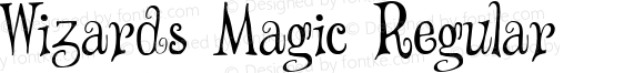 Wizards Magic Regular