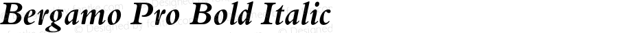 Bergamo Pro Bold Italic