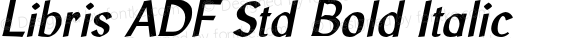Libris ADF Std Bold Italic