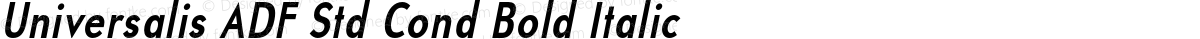 Universalis ADF Std Cond Bold Italic