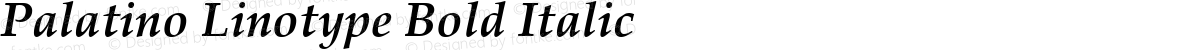 Palatino Linotype Bold Italic