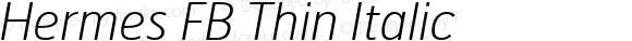 Hermes FB Thin Italic