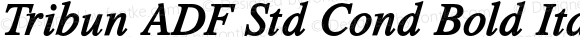Tribun ADF Std Cond Bold Italic