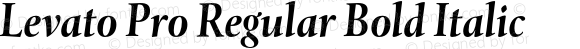Levato Pro Regular Bold Italic