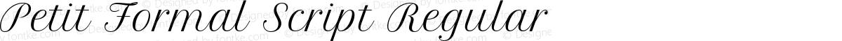 Petit Formal Script Regular