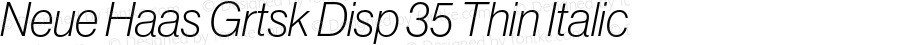 NeueHaasGroteskDisp-36ThinItalic