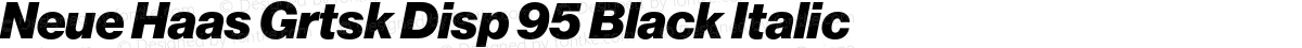 Neue Haas Grtsk Disp 95 Black Italic