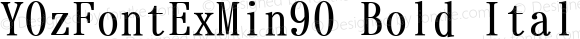 YOzFontExMin90 Bold Italic