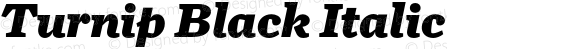 Turnip Black Italic