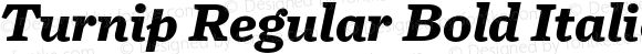 Turnip Regular Bold Italic