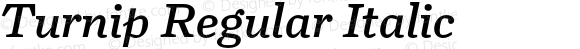 Turnip Regular Italic