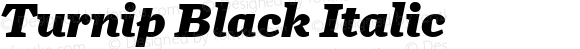 Turnip Black Italic