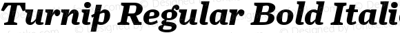 Turnip Regular Bold Italic