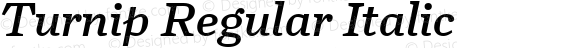 Turnip Regular Italic