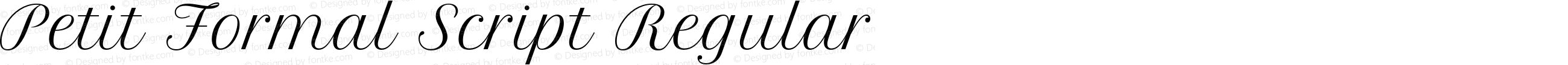 Petit Formal Script Regular