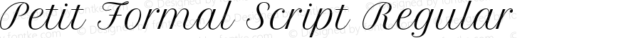 Petit Formal Script Regular