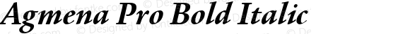 Agmena Pro Bold Italic