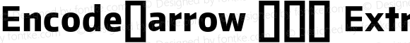 EncodeNarrow 800 ExtraBold Regular