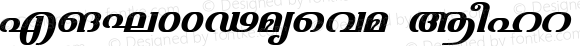FML-TTVarsha Bold Italic