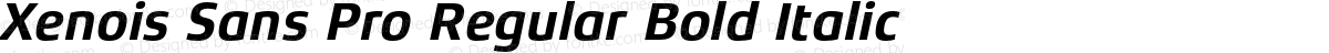 Xenois Sans Pro Regular Bold Italic