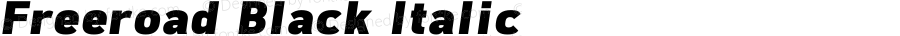 Freeroad Black Italic