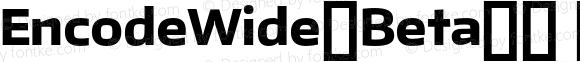 EncodeWide-Beta33 800 ExtraBold Regular