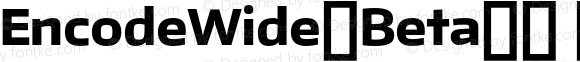 EncodeWide-Beta34 800 ExtraBold Regular