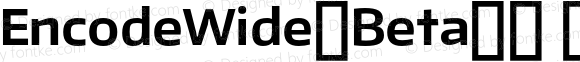 EncodeWide-Beta34 700 Bold Regular
