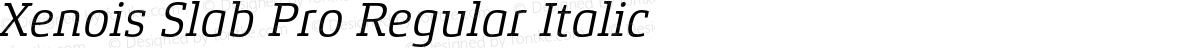 Xenois Slab Pro Regular Italic