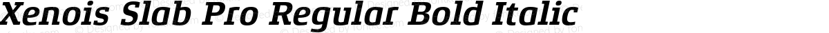 Xenois Slab Pro Regular Bold Italic